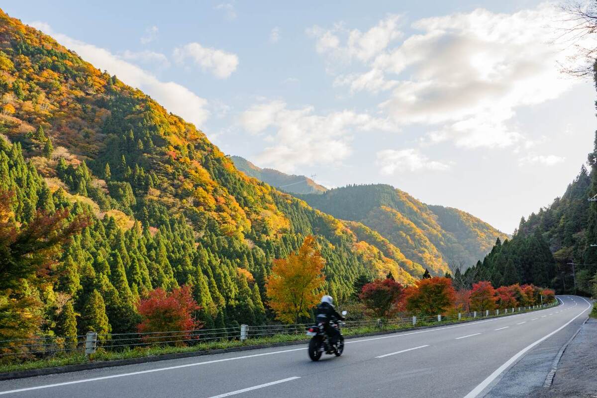 O que o seguro de moto não cobre