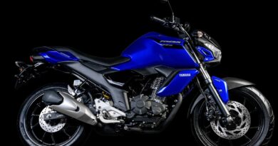 Yamaha Fazer 150 2024